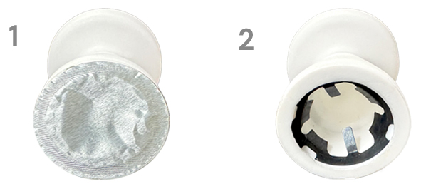 P12 Image 1 and text to right