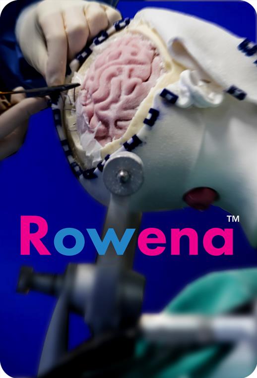 Neuro Training & Simulation - ROWENA