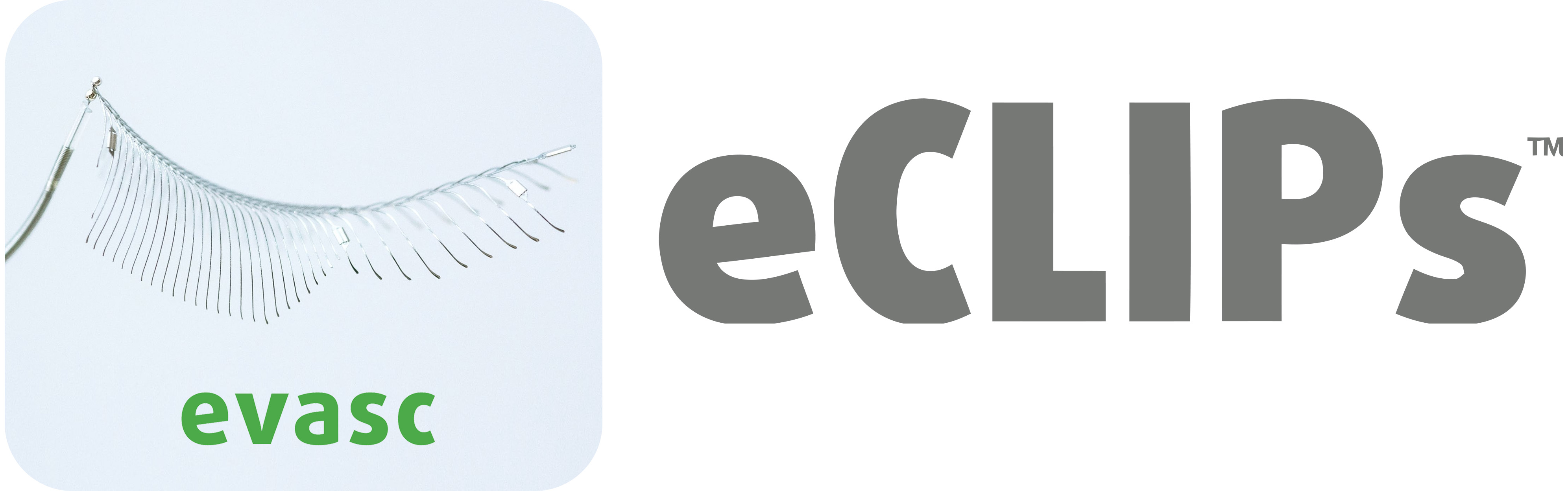 P14D eCLIPs Logo and pic