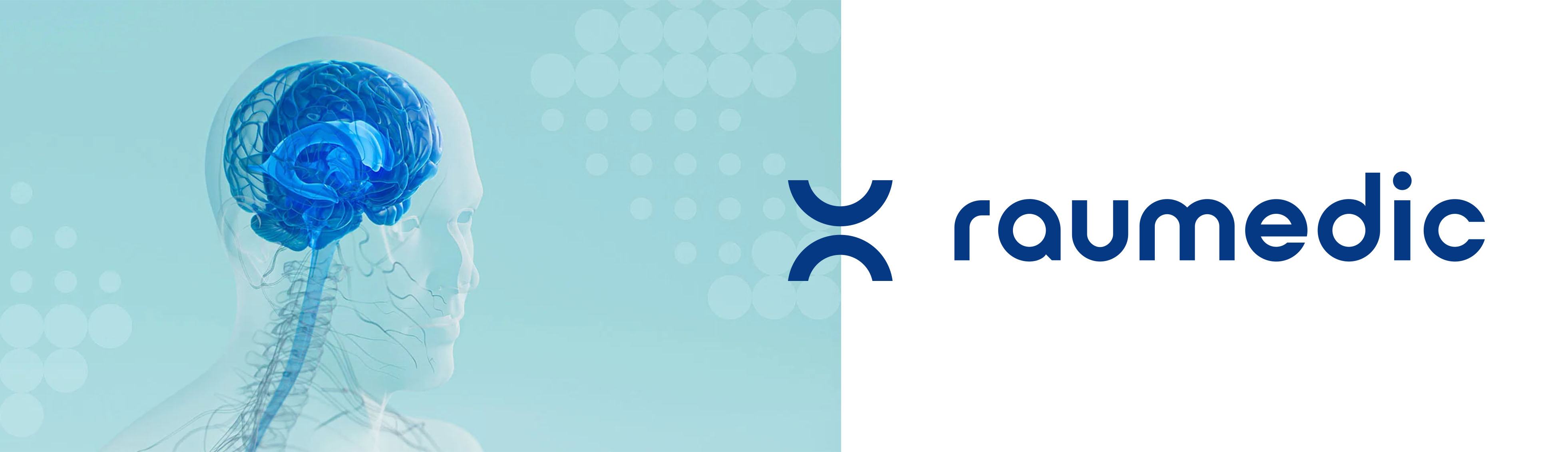 P4 logo and pic