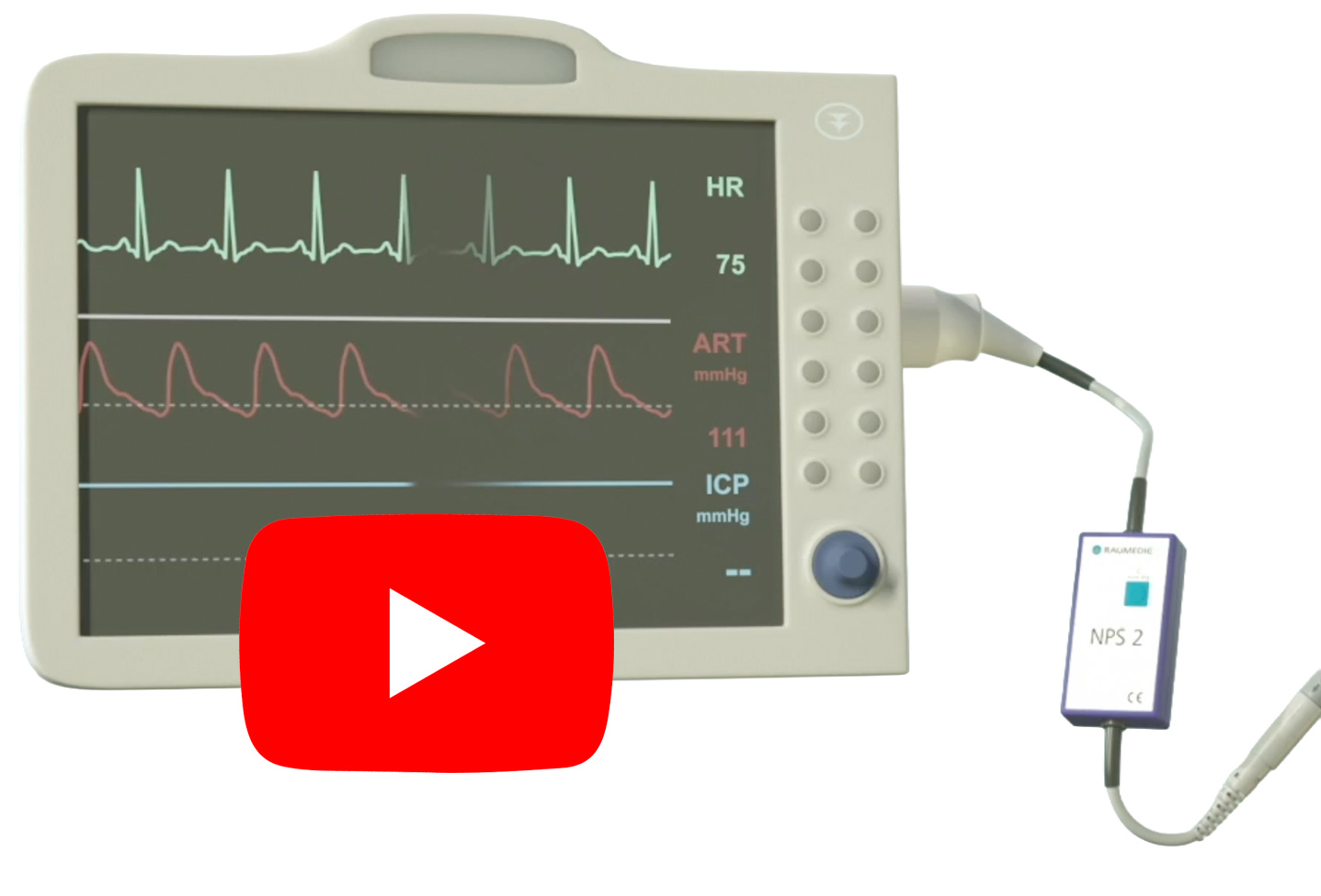 P4 NPS 2 You tube video