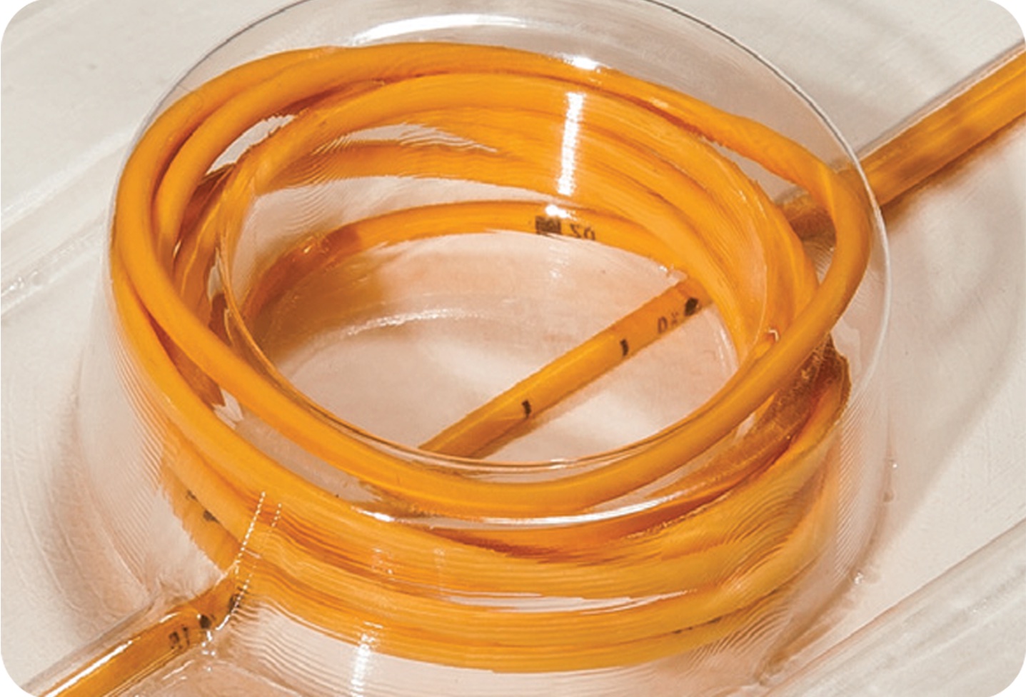 p5b - Anti Bacterial Silicon Catheters