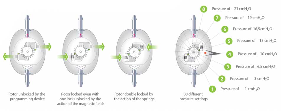HP Bio section 3 graphic 2 and text block 2