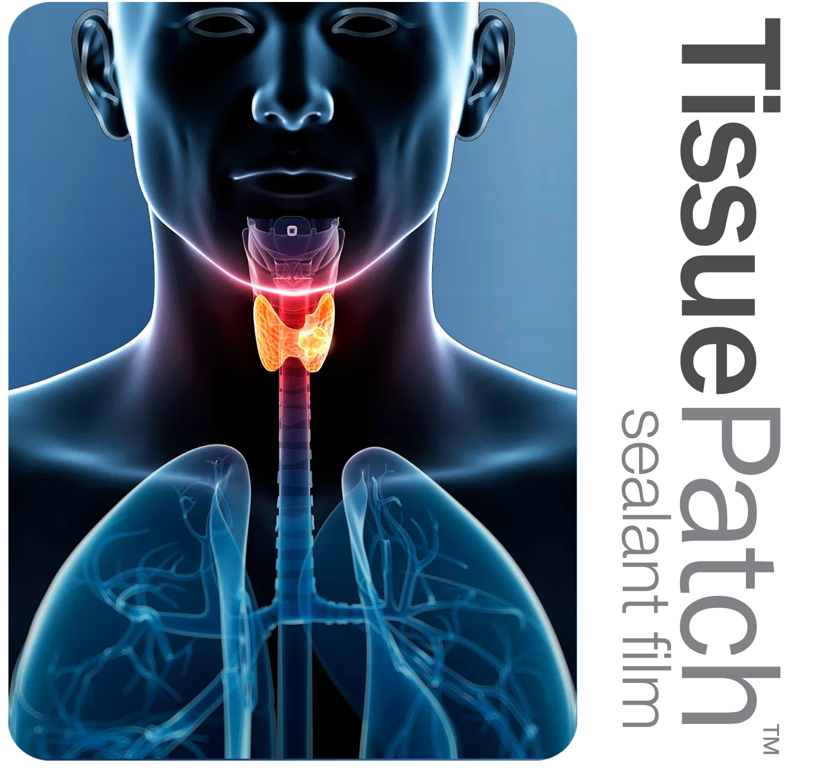 P9 - Pic 2 ENT/Head and Neck Surgery